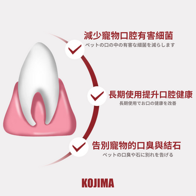 日本KOJIMA 狗用乳酸菌牙膏